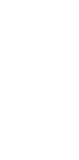 UNDP